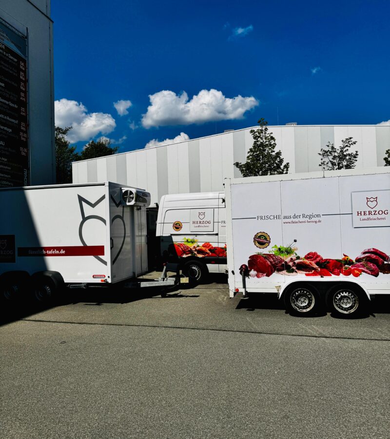 WhatsApp Image 2026-02-28 at 17.50.03